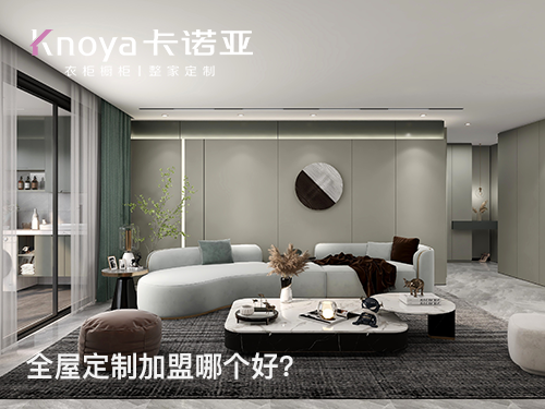 天津河北區加盟全屋定制怎么選品牌？天津河北區全屋定制加盟品牌哪家好？